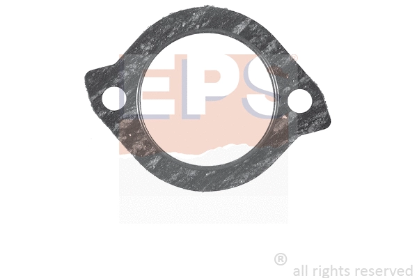 1.890.520 EPS Прокладка, термостат (фото 1)
