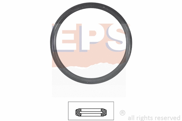 1.890.547 EPS Прокладка, термостат (фото 1)