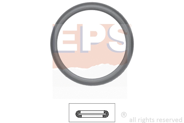 1.890.598 EPS Прокладка, термостат (фото 1)