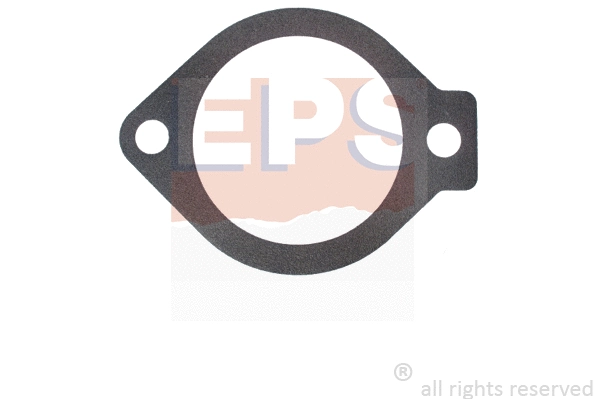 1.890.691 EPS Прокладка, термостат (фото 1)