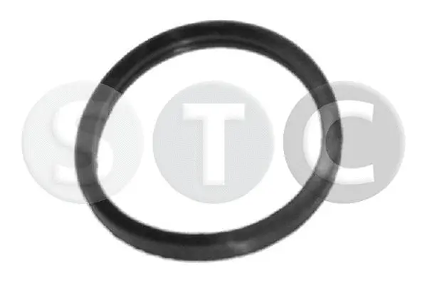 T402351 STC Прокладка, термостат (фото 1)