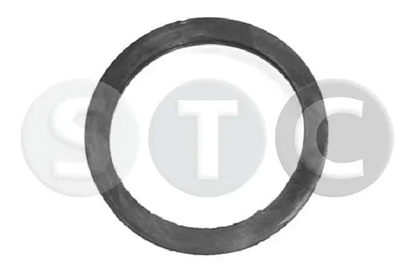 T402362 STC Прокладка, термостат (фото 1)