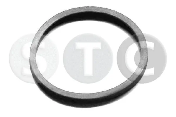 T402404 STC Прокладка, термостат (фото 1)
