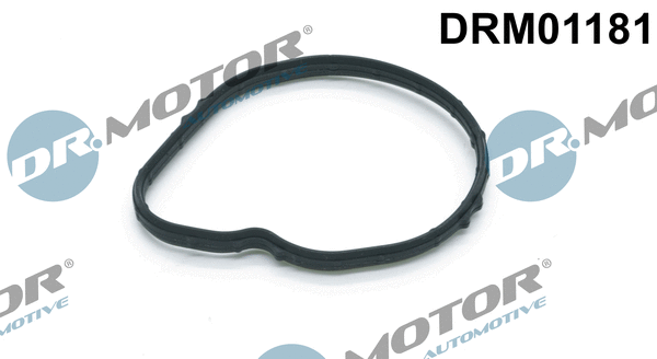 DRM01181 Dr.Motor Automotive Прокладка, термостат (фото 1)