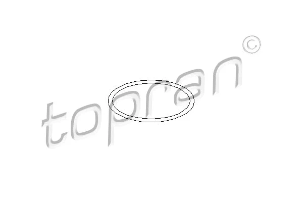 100 572 TOPRAN Прокладка, водяной насос (фото 1)