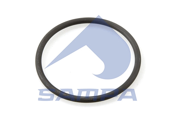 078.069 SAMPA Прокладка, водяной насос (фото 1)