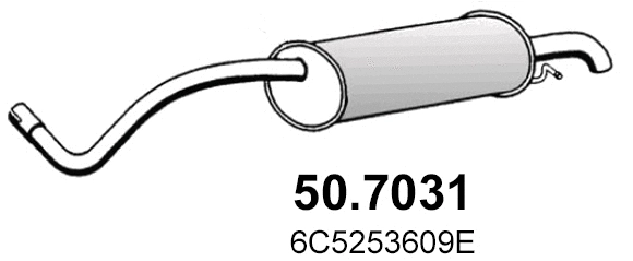 50.7031 ASSO Глушитель выхлопных газов конечный (фото 1)