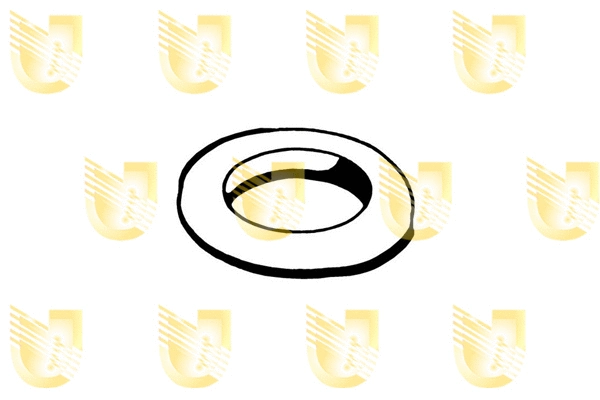 165078 UNIGOM Стопорное кольцо, глушитель (фото 1)