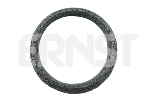 490399 ERNST Уплотнительное кольцо, труба выхлопного газа (фото 1)