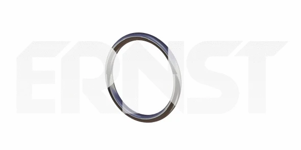 490924 ERNST Уплотнительное кольцо, труба выхлопного газа (фото 1)