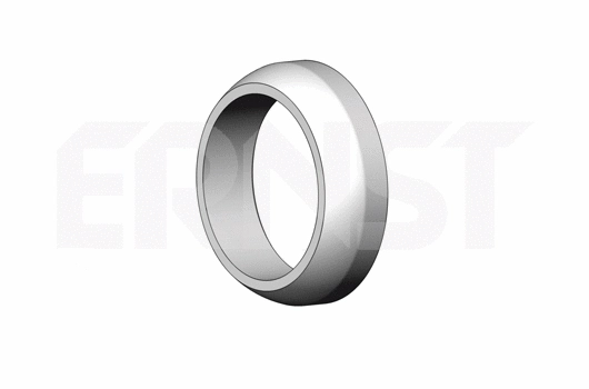 493451 ERNST Уплотнительное кольцо, труба выхлопного газа (фото 1)
