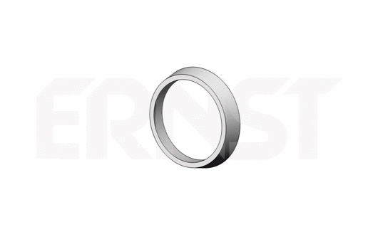 493956 ERNST Уплотнительное кольцо, труба выхлопного газа (фото 1)