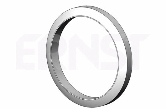 495561 ERNST Уплотнительное кольцо, труба выхлопного газа (фото 1)