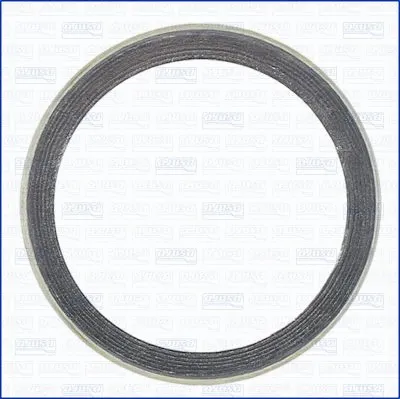 19002100 AJUSA Уплотнительное кольцо, труба выхлопного газа (фото 1)