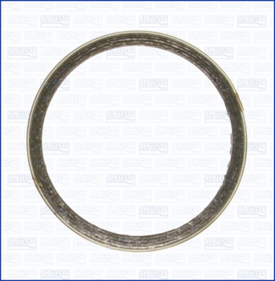 19002500 AJUSA Уплотнительное кольцо, труба выхлопного газа (фото 1)
