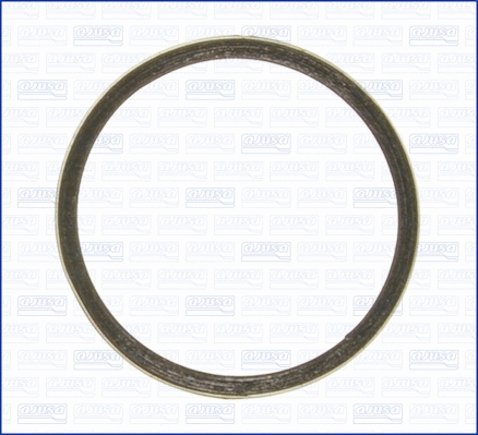 19004100 AJUSA Уплотнительное кольцо, труба выхлопного газа (фото 1)
