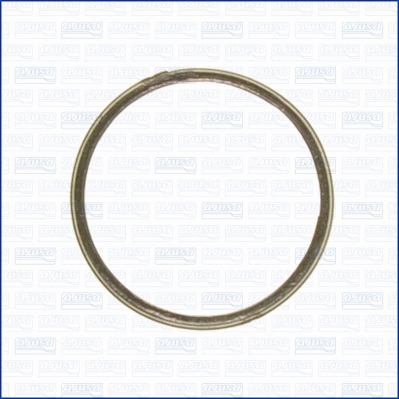 19004400 AJUSA Уплотнительное кольцо, труба выхлопного газа (фото 1)