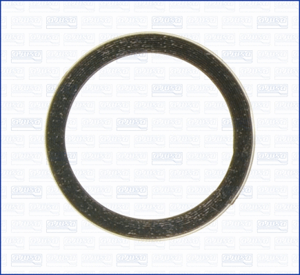 19005400 AJUSA Уплотнительное кольцо, труба выхлопного газа (фото 1)