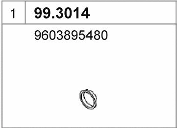 99.3014 ASSO Уплотнительное кольцо, труба выхлопного газа (фото 1)