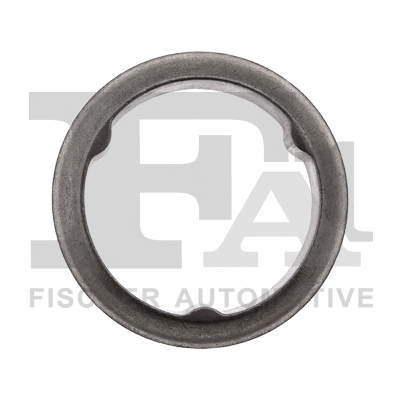 112-946 FA1/FISCHER Уплотнительное кольцо, труба выхлопного газа (фото 1)