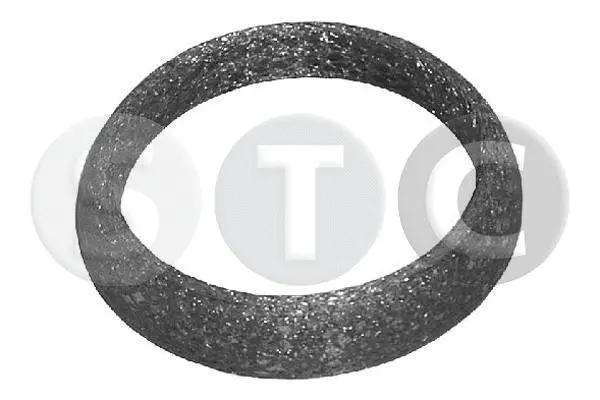 T402382 STC Уплотнительное кольцо, труба выхлопного газа (фото 1)