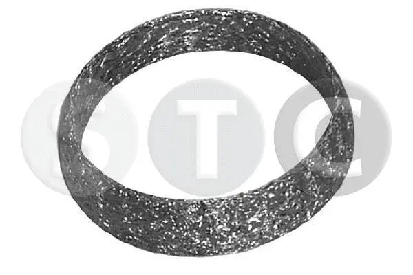 T402432 STC Уплотнительное кольцо, труба выхлопного газа (фото 1)