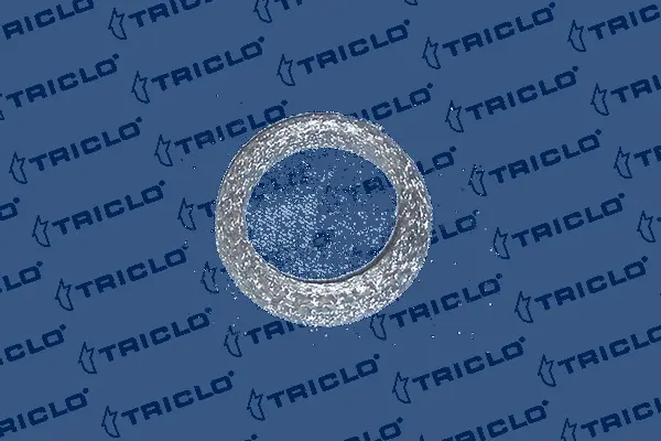 352853 TRICLO Уплотнительное кольцо, труба выхлопного газа (фото 1)
