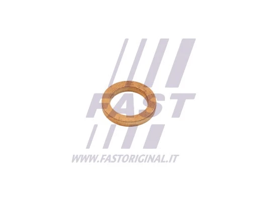 FT48802 FAST Прокладка, впуск в турбину (компрессор) (фото 1)