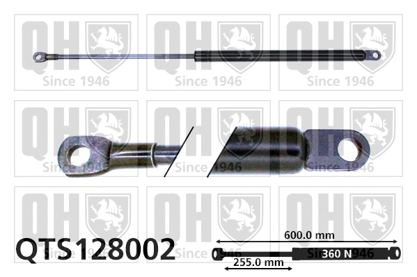 QTS128002 QUINTON HAZELL Газовая пружина, крышка багажник (фото 1)