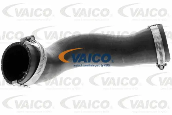 V40-1780 VAICO Рукав воздухозаборника, воздушный фильтр (фото 1)