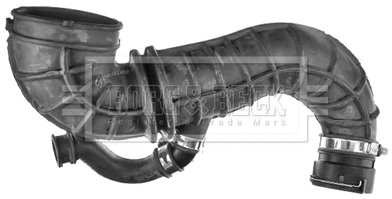 BTH1651 BORG & BECK Рукав воздухозаборника, воздушный фильтр (фото 2)