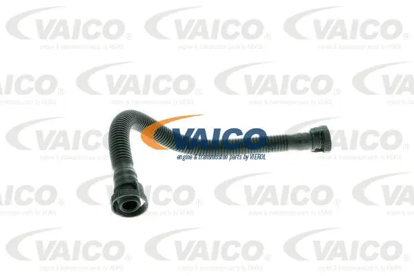 V10-0737 VAICO Шланг, вентиляция картера (фото 1)