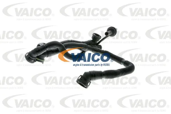 V10-3505 VAICO Шланг, вентиляция картера (фото 1)