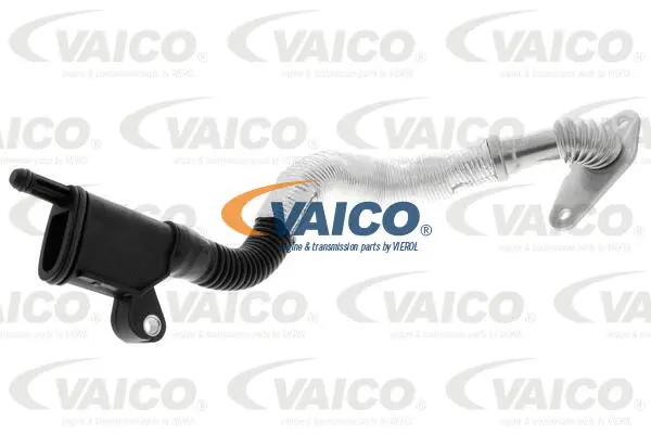 V10-5459 VAICO Шланг, вентиляция картера (фото 1)