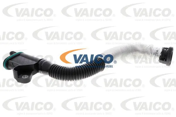 V10-5579 VAICO Шланг, вентиляция картера (фото 1)