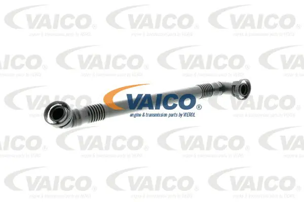 V20-0785 VAICO Шланг, вентиляция картера (фото 1)