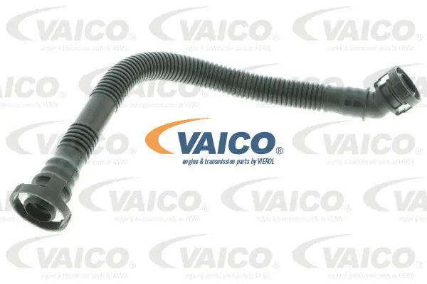 V20-1799 VAICO Шланг, вентиляция картера (фото 1)