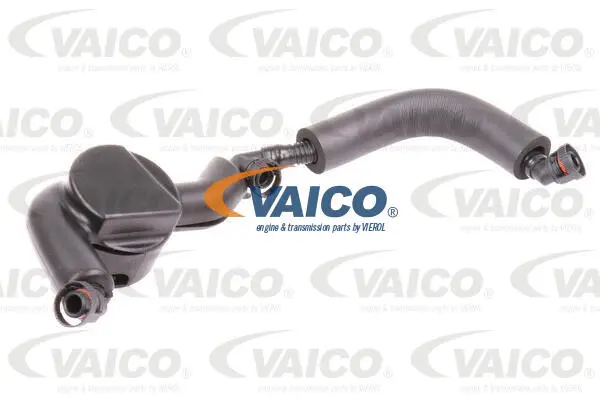 V20-2652 VAICO Шланг, вентиляция картера (фото 1)