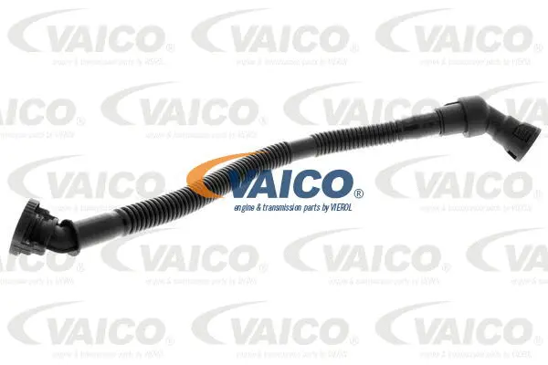 V20-2731 VAICO Шланг, вентиляция картера (фото 1)