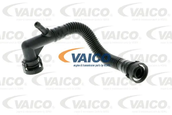V20-2964 VAICO Шланг, вентиляция картера (фото 1)