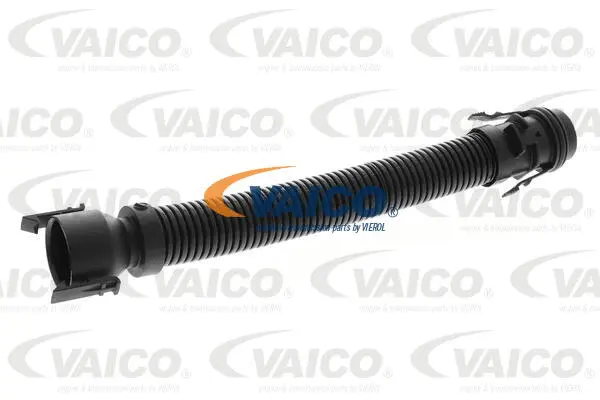 V20-4019 VAICO Шланг, вентиляция картера (фото 1)