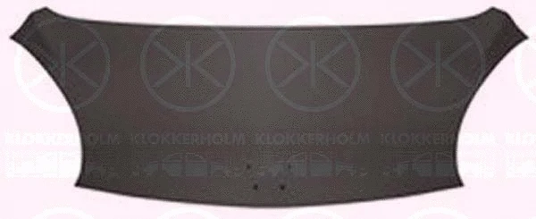 0501280 KLOKKERHOLM Капот двигателя (фото 1)