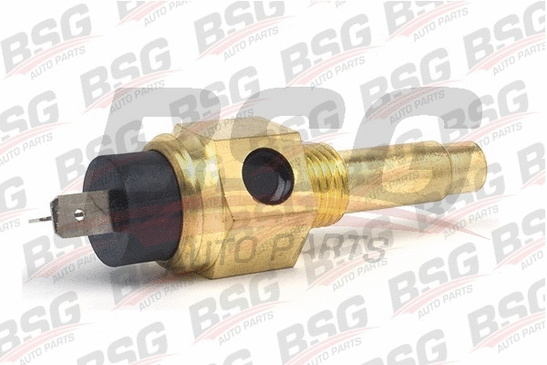 BSG 60-840-015 BSG Датчик, температура охлаждающей жидкости (фото 1)