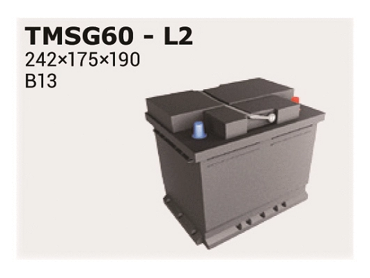 TMSG60 IPSA Стартерная аккумуляторная батарея (фото 1)