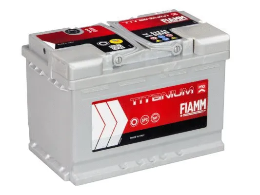 L3 74P FIAMM Стартерная аккумуляторная батарея (фото 3)