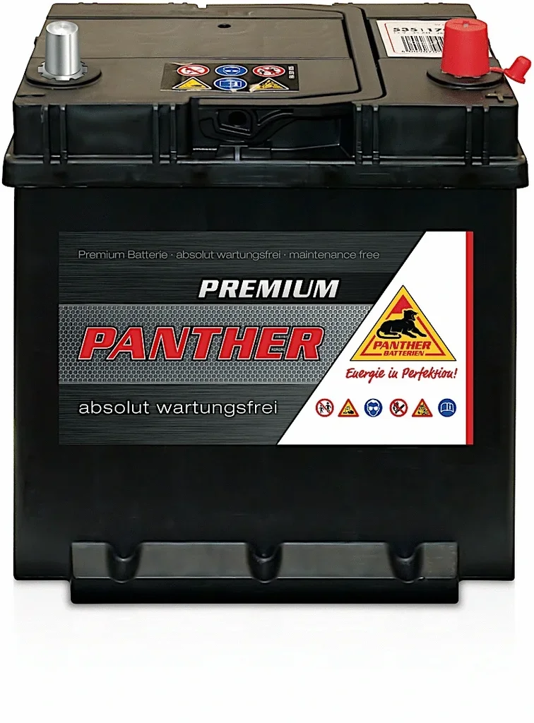 SB.5351733 PANTHER Стартерная аккумуляторная батарея (фото 1)