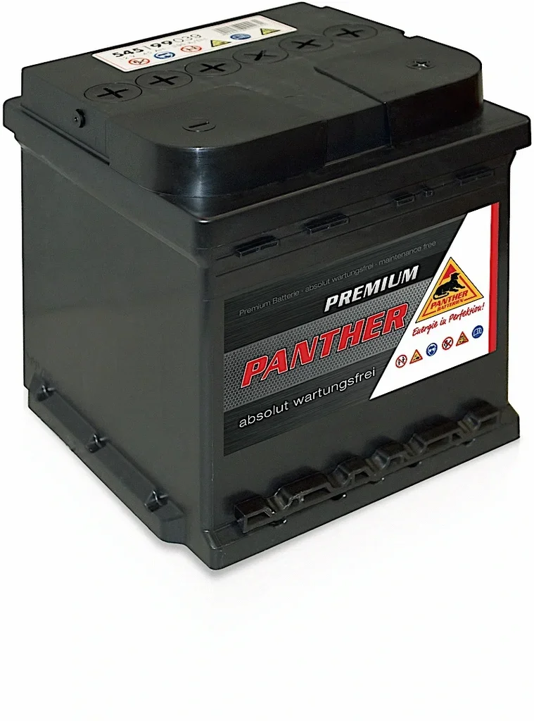 SB.5459933 PANTHER Стартерная аккумуляторная батарея (фото 1)