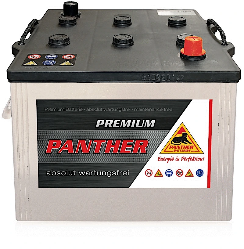 SB.6252300 PANTHER Стартерная аккумуляторная батарея (фото 1)