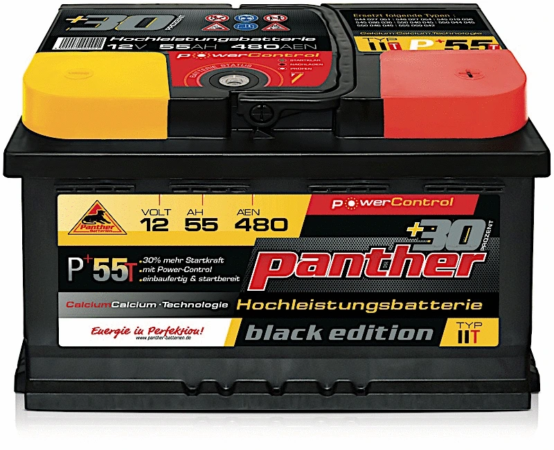SB.P55T PANTHER Стартерная аккумуляторная батарея (фото 1)
