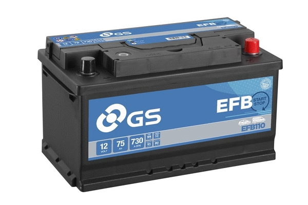 EFB110 GS Стартерная аккумуляторная батарея (фото 1)